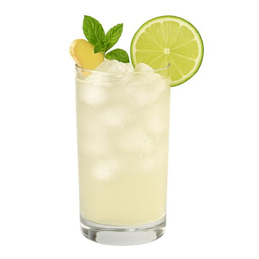 Zázvorová limetka Fizz